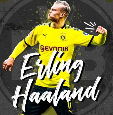 前锋远射破门，全场欢呼（前锋一脚远射破网，全场沸腾）